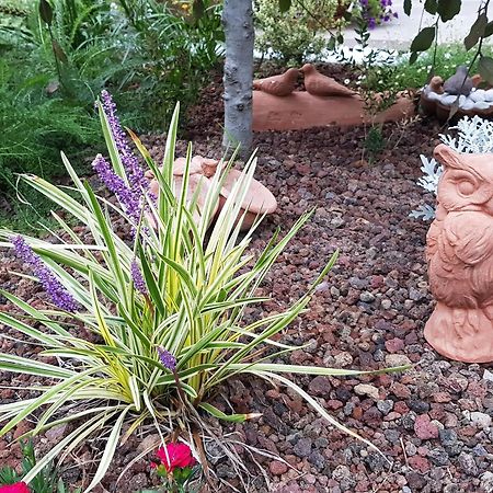 Nel Giardino Di Dafne Villa สเตรซา ภายนอก รูปภาพ